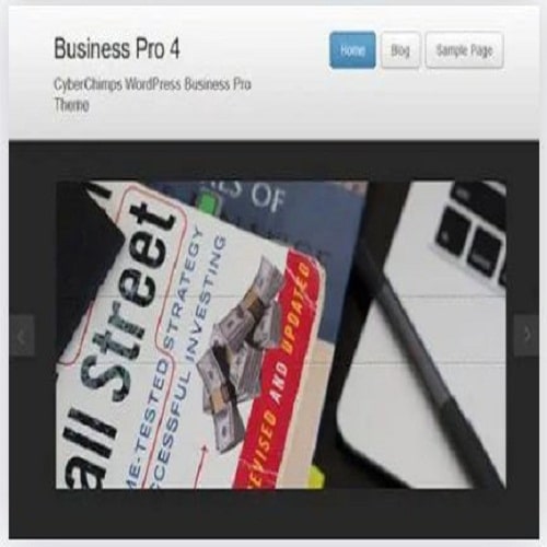 CYBERCHIMPS BUSINESS PRO