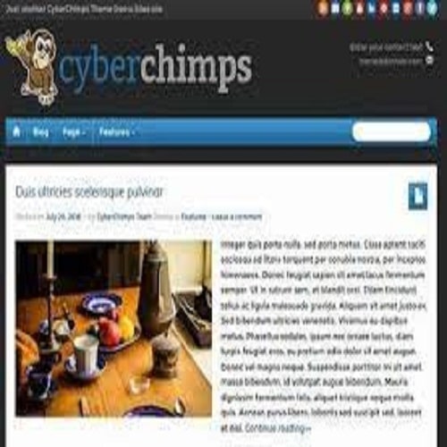 CyberChimps