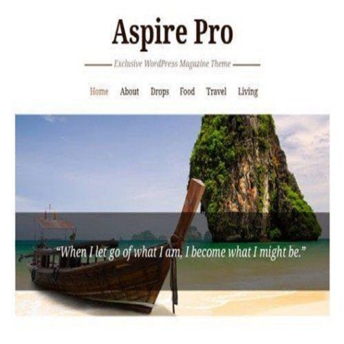 CYBERCHIMPS ASPIREPRO