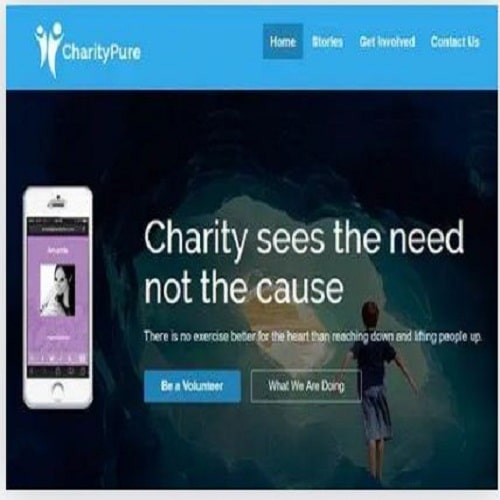 CYBERCHIMPS CHARITYPURE