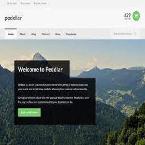 Peddlar