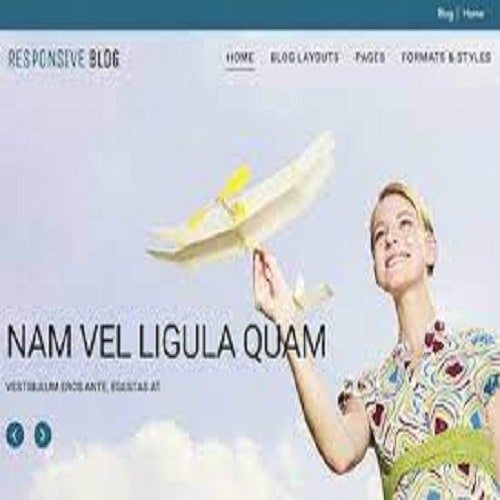 CyberChimps Responsive Blog