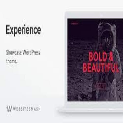 Experience