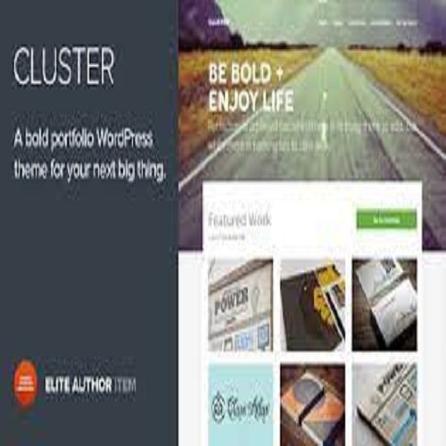 CLUSTER