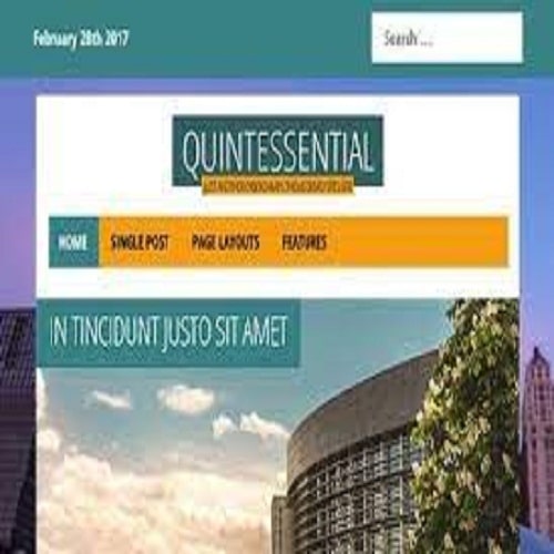 CYBERCHIMPS QUINTESSENTIAL