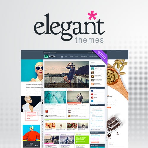 ELEGANT THEMES EXTRAv