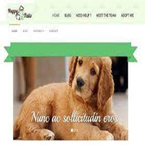 CYBERCHIMPS HAPPYTAILS