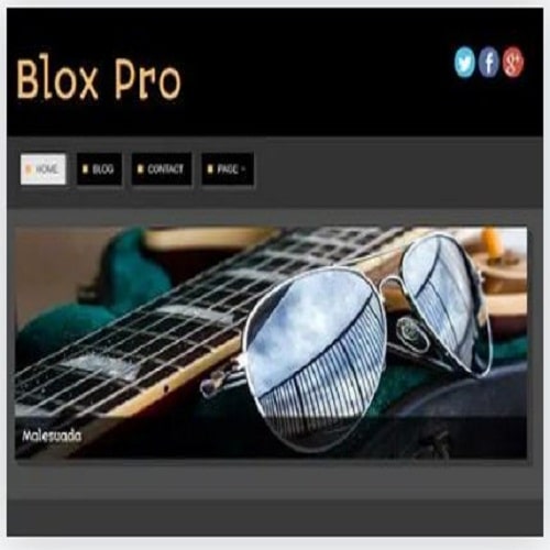 CyberChimps Blox Pro