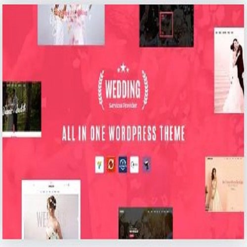 All in One WordPress Theme