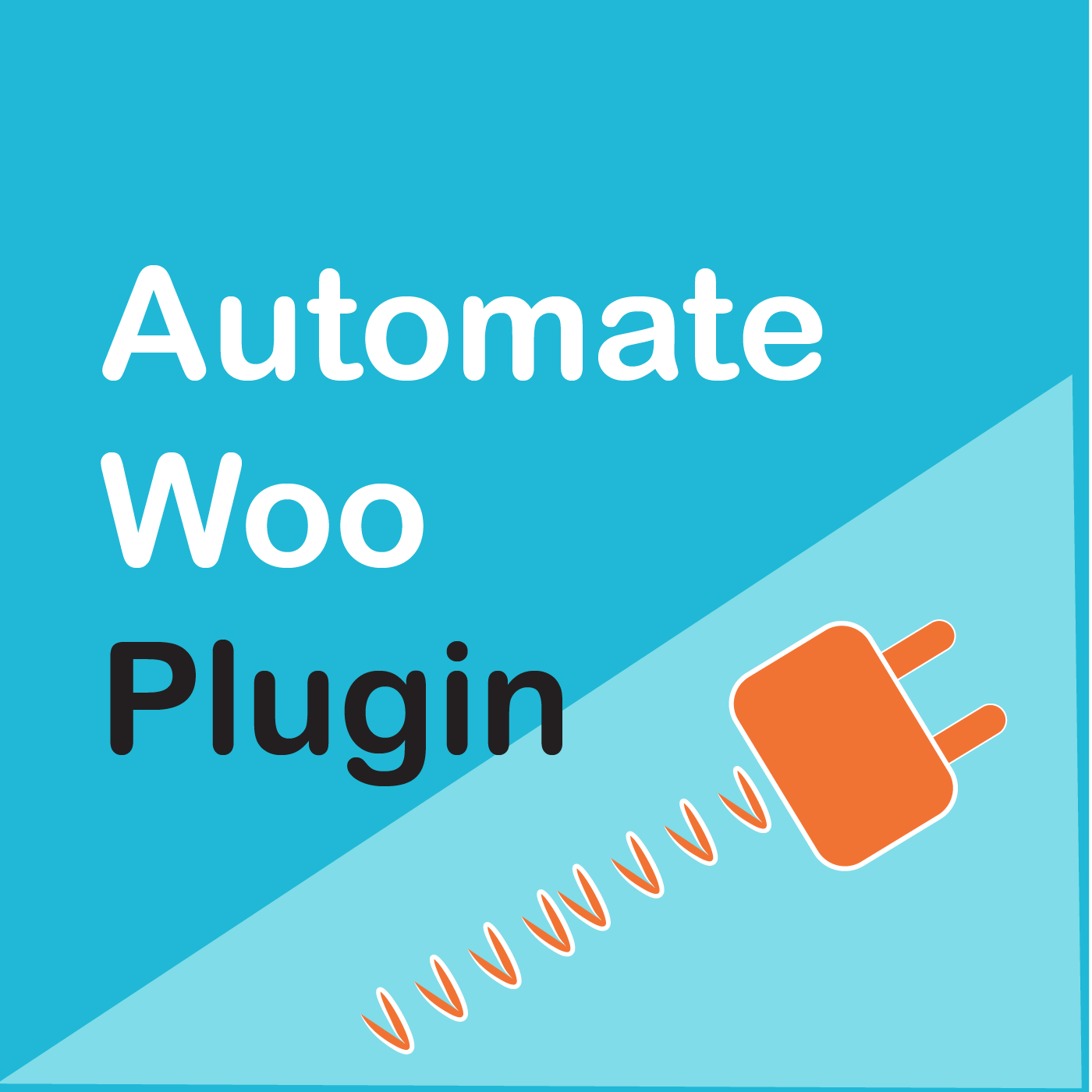 AutomateWoo WordPress Plugin
