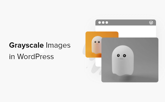 greyscale images in wordpress