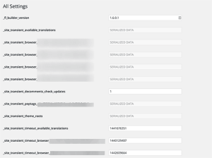 WordPress Admin Panel