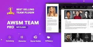 THE TEAM PRO – TEAM SHOWCASE WORDPRESS PLUGIN 1.11.1